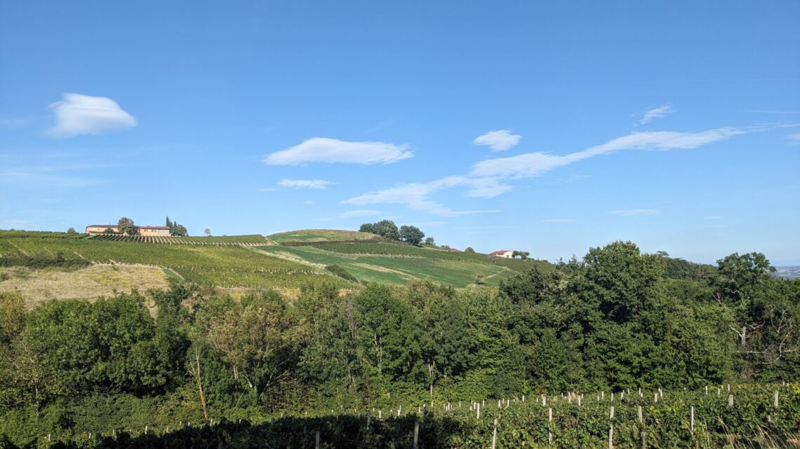 Septembre 2025_Vue sur les vignes