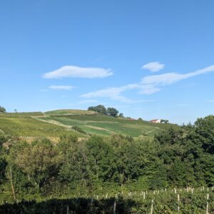 Septembre 2025_Vue sur les vignes