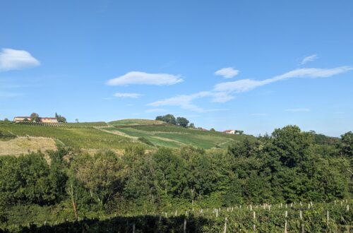 Septembre 2025_Vue sur les vignes
