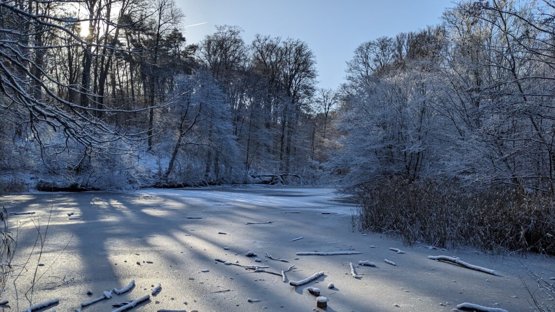 Un lac gelé, un dimanche ensoleillé de janvier 2016