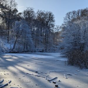 Un lac gelé, un dimanche ensoleillé de janvier 2016