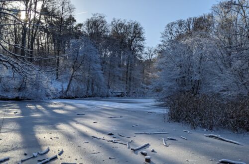 Un lac gelé, un dimanche ensoleillé de janvier 2016