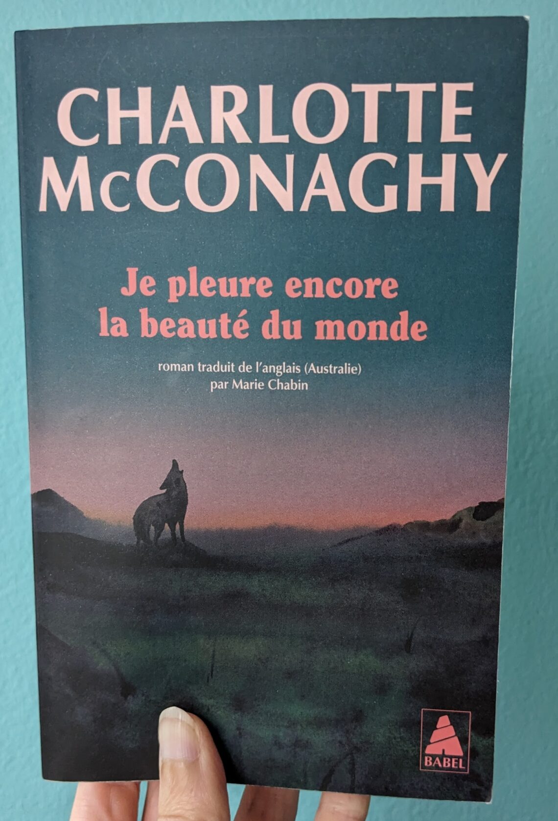 Couverture de je pleure encore la beauté du monde