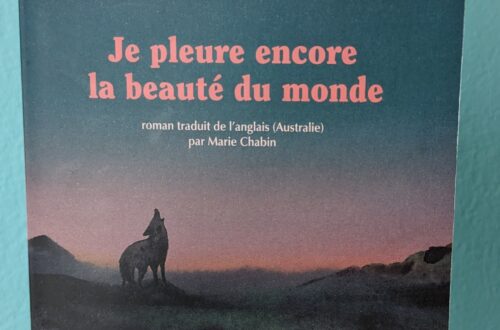 Couverture de je pleure encore la beauté du monde