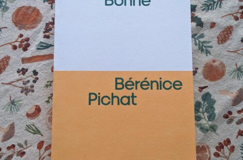 Couverture de La petite Bonne