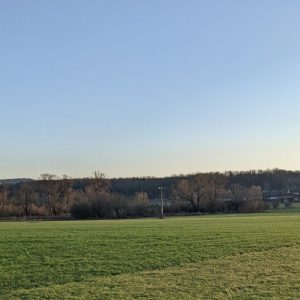 Décembre 2021
