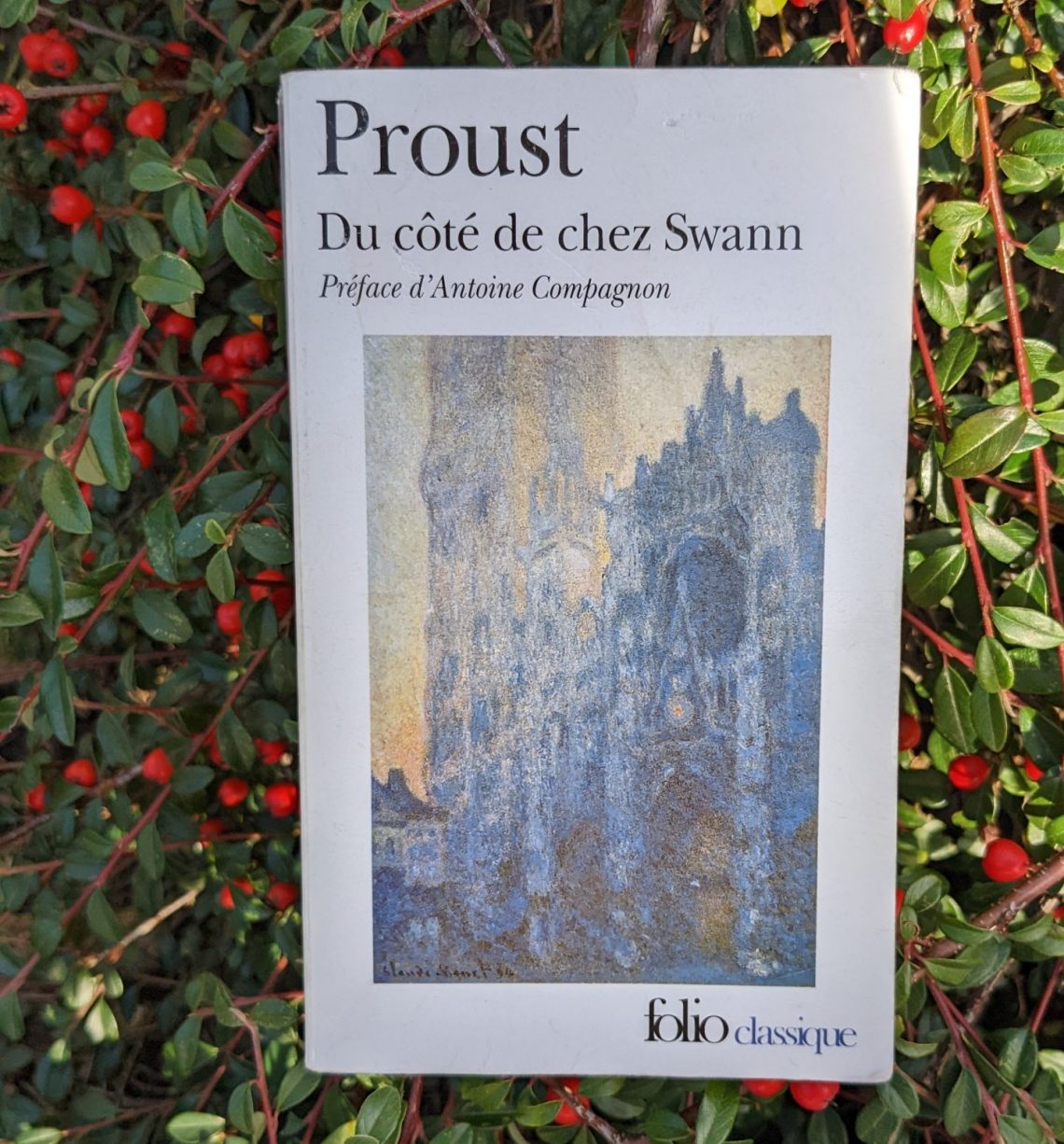 Du côté de chez Swann
