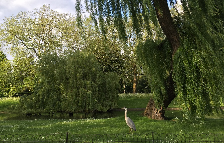 Regents_Park