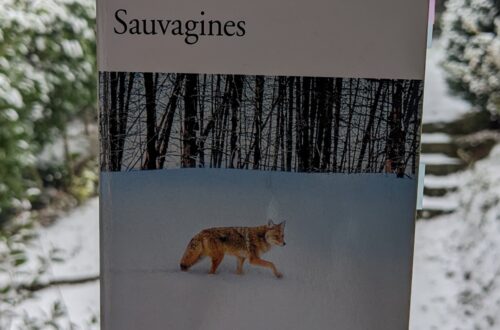 Couverture de Sauvagines