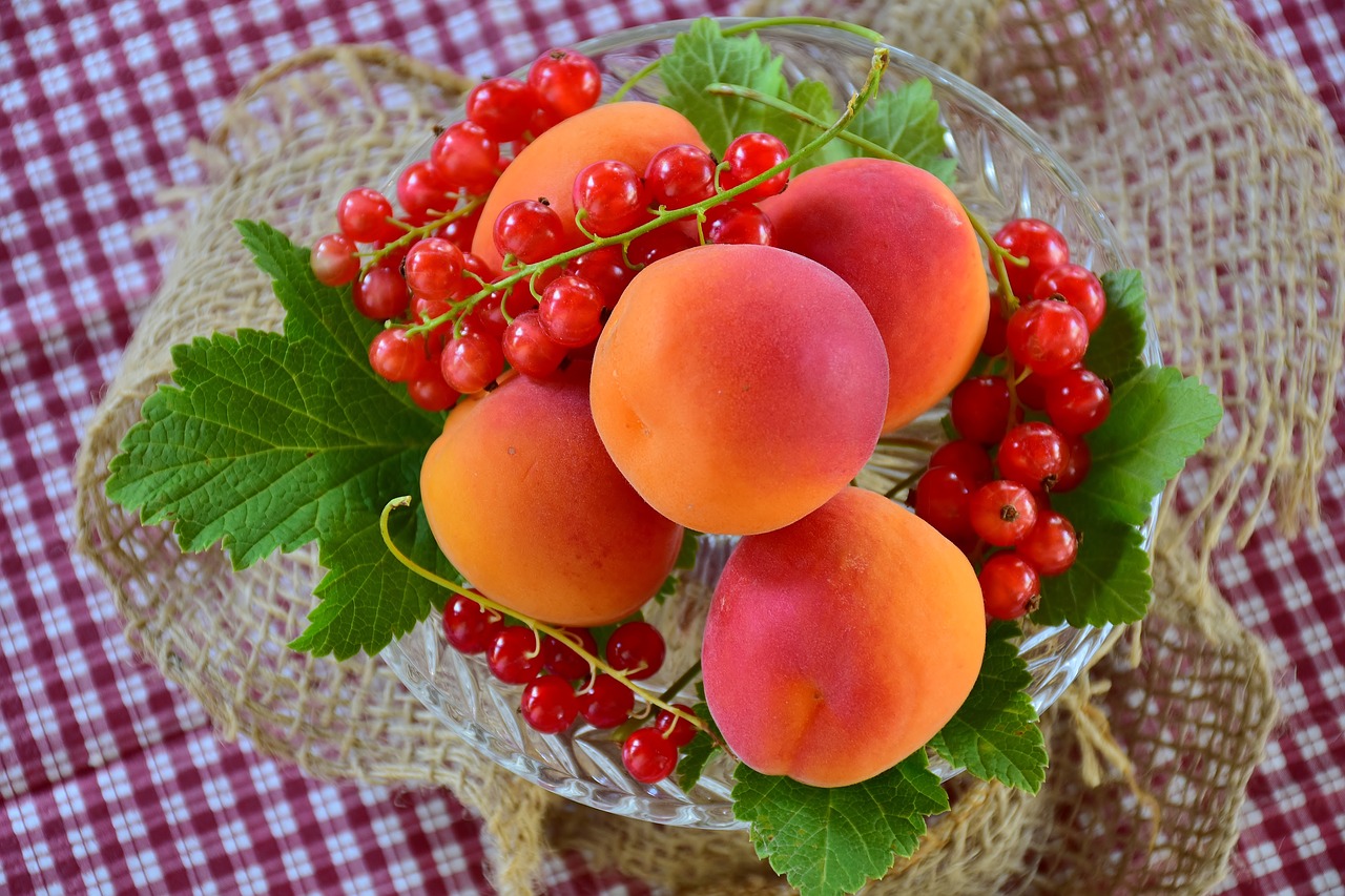 fruits
