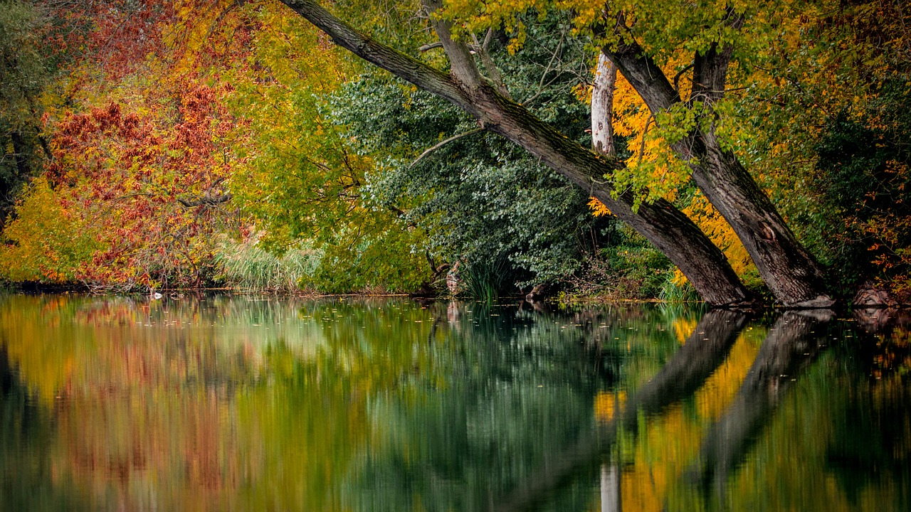 Paysage d'automne